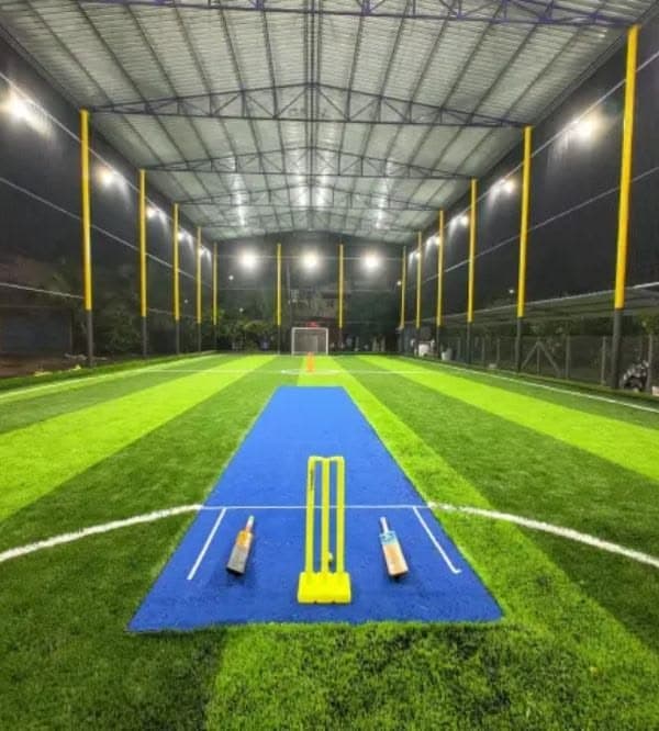 Cricket